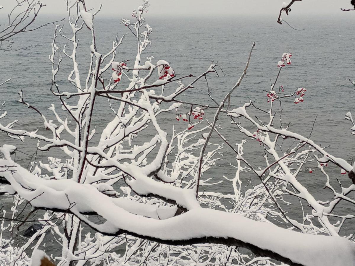 Cliff Dweller On Lake Superior Tofte Ngoại thất bức ảnh